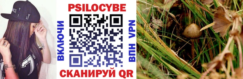 Купить  Лиски  Псилоцибиновые грибы MAGIC MUSHROOMS 